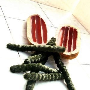 Frucht #8