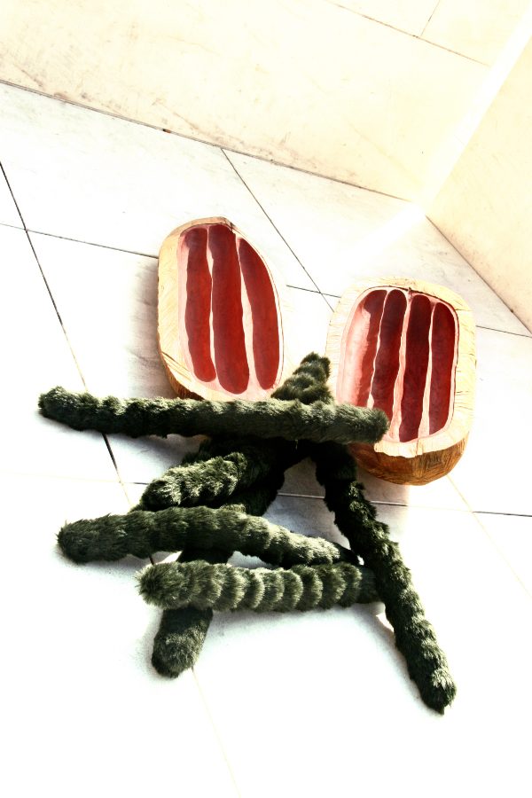 Frucht#8