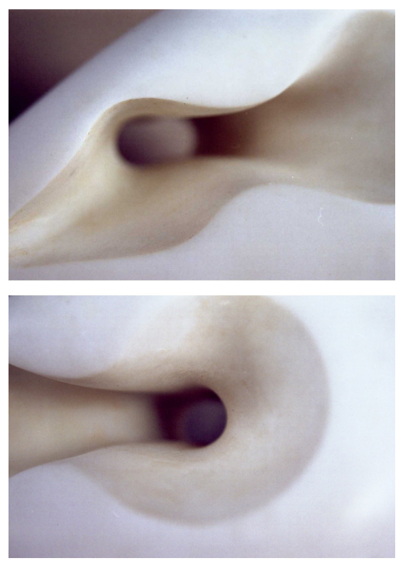 Meeresfrucht1:detaille