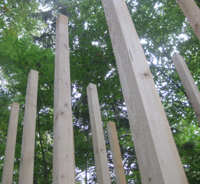 wald3